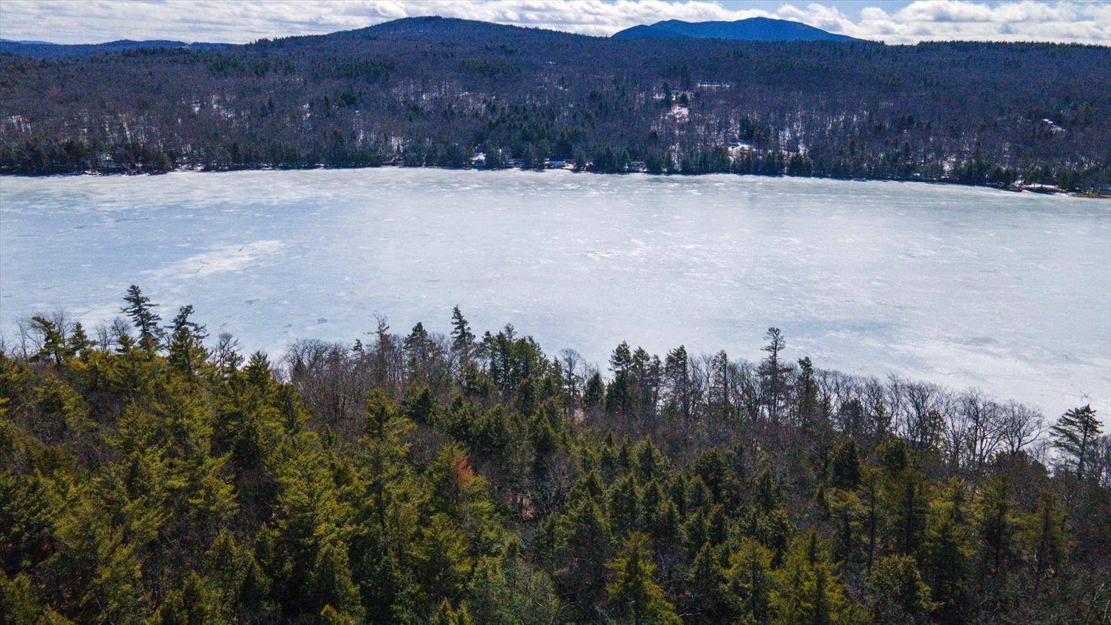 199 Hancock Road Harrisville, NH 03450 - Photo 45 of 56