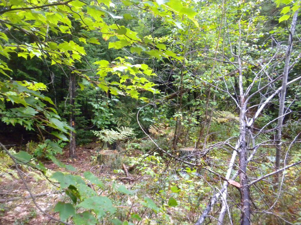 7 River Road Limington, ME 04049 - Photo 12 of 26 Photo