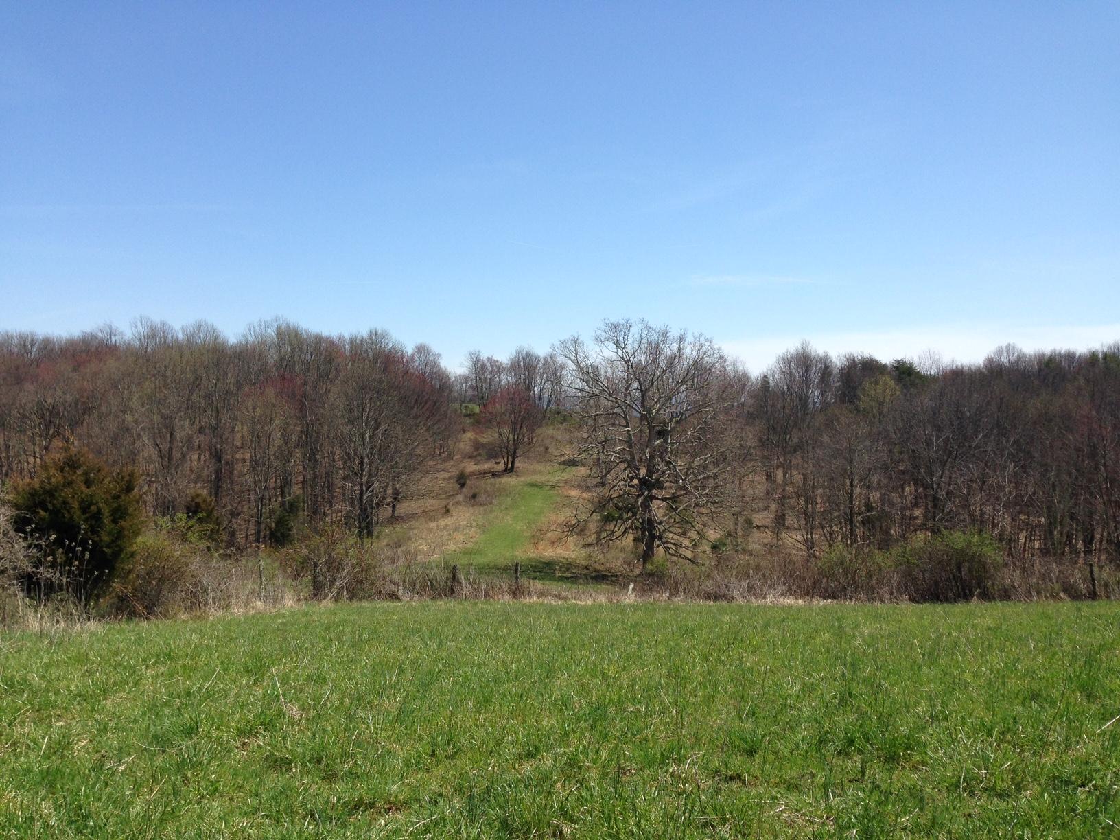 Dillon Road Forest Hill, WV 24935 - Photo 9 of 93 Gallery Image 9