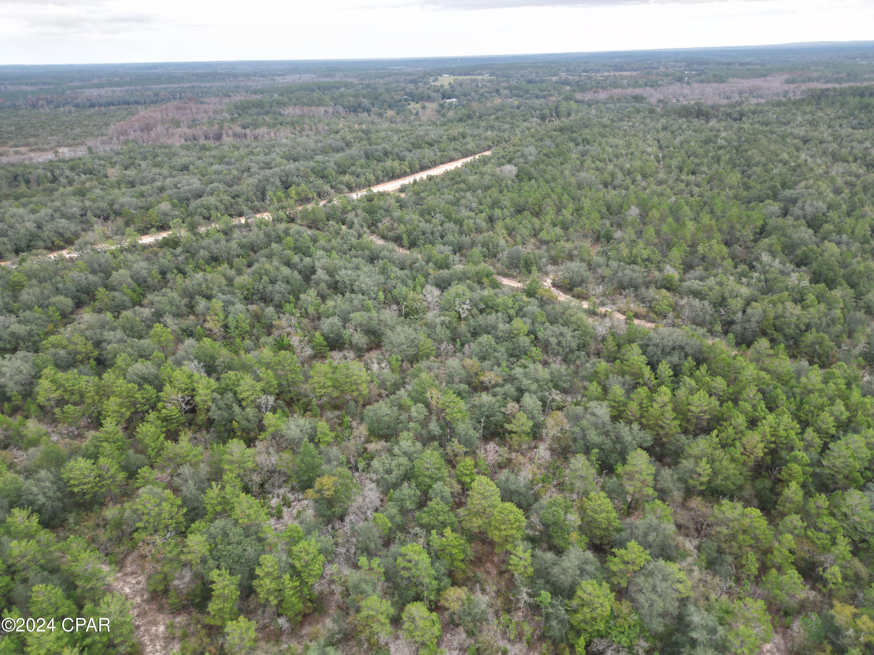 0 Union Hill Road Caryville, FL 32425 - Photo 3 of 11 Gallery Image 3