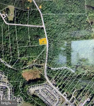 a view of a yard