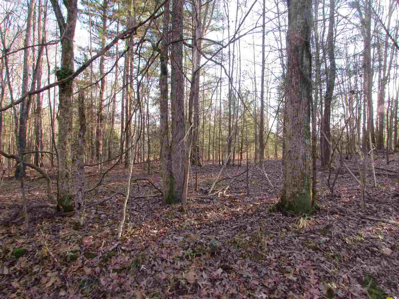 1129 Johnson Line Road Bolton, MS 39041 - Photo 1 of 4 Photo 1