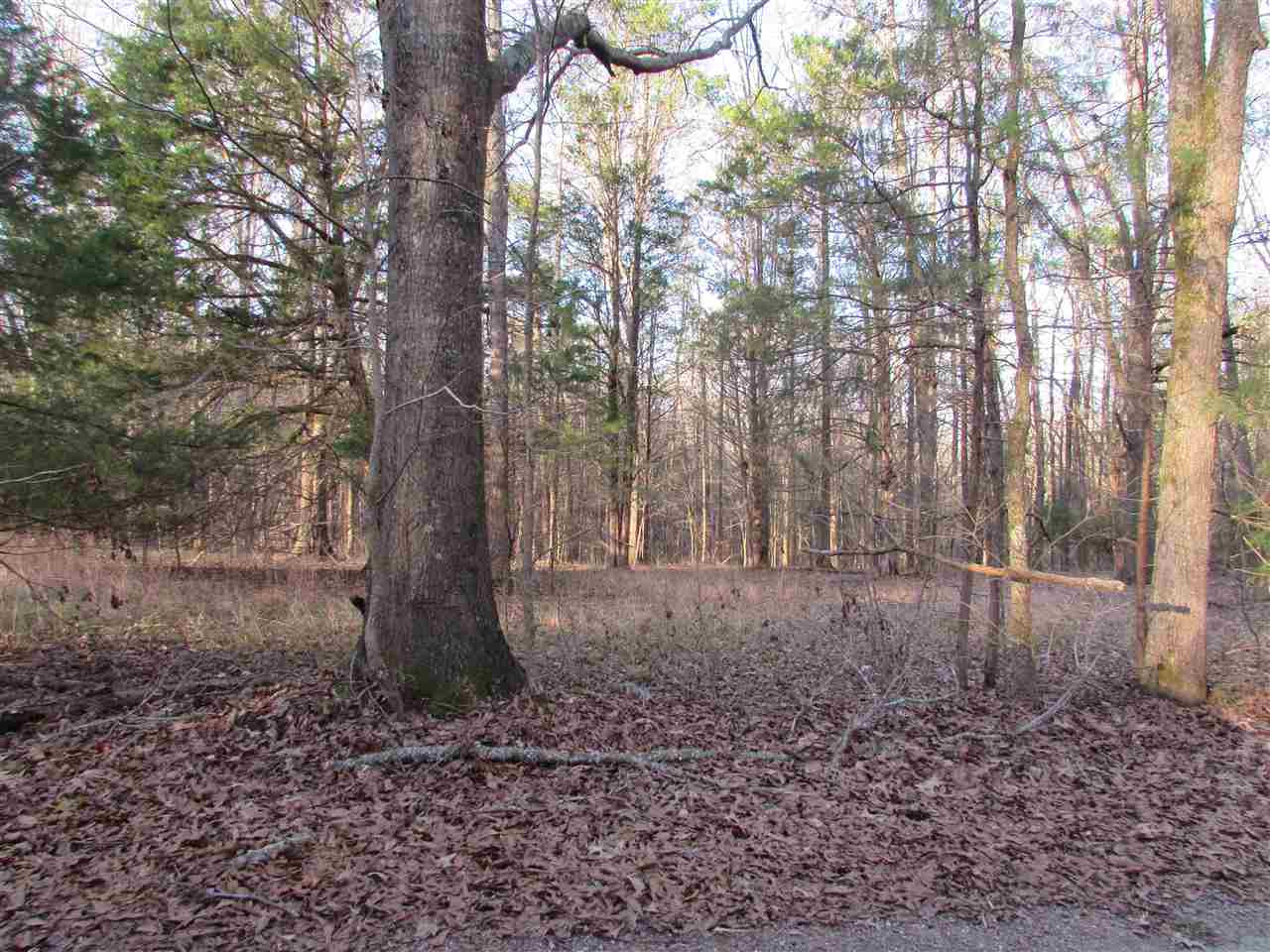 1129 Johnson Line Road Bolton, MS 39041 - Photo 3 of 4 Photo 3