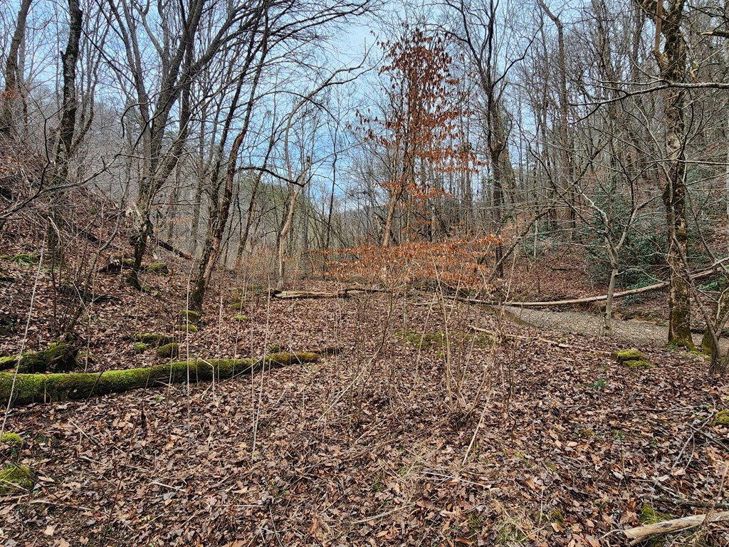 0 Middle Creek Road Cosby, TN 37722 - Photo 9 of 30