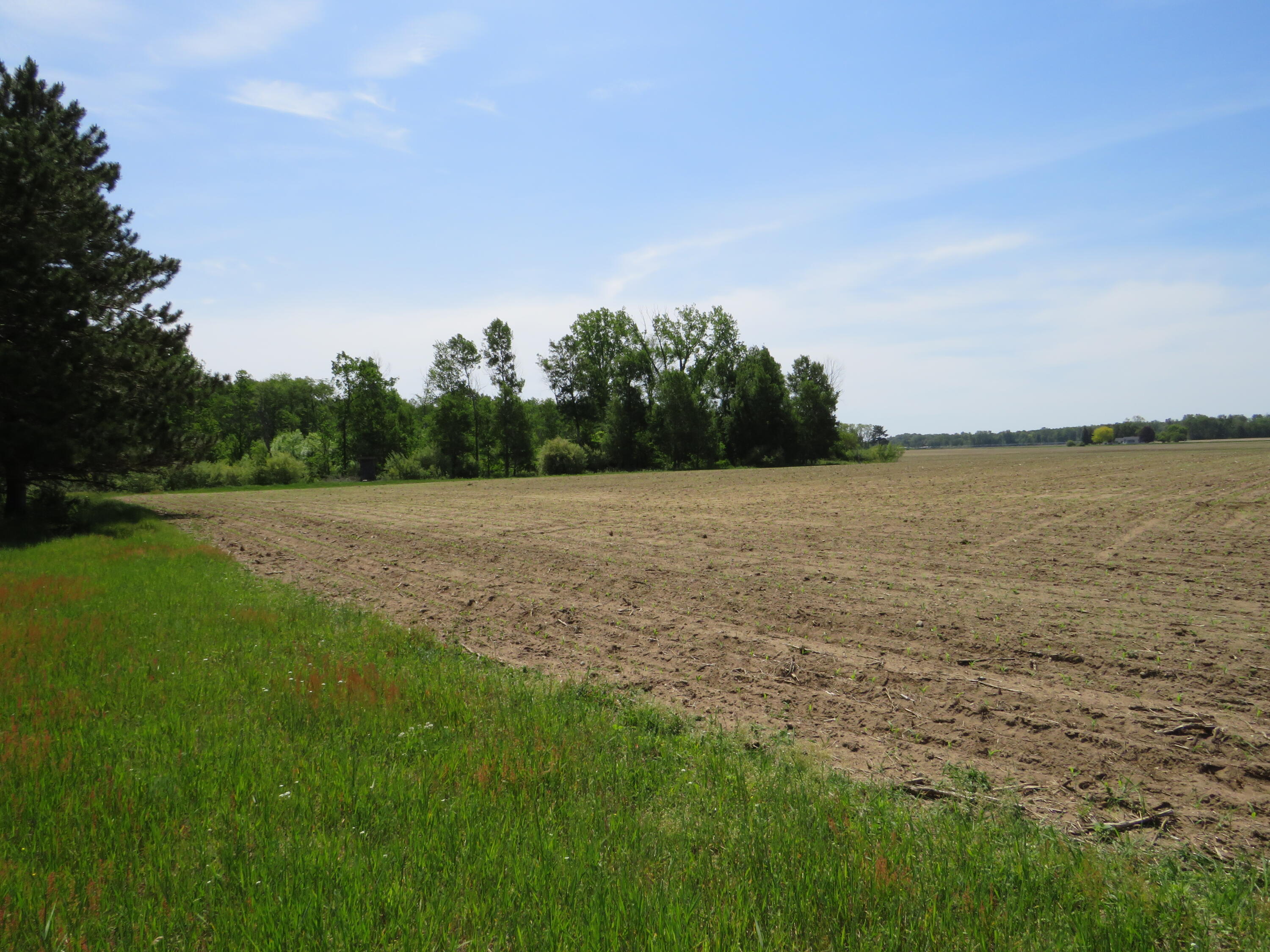 Vl South Elkton Road Owendale, MI 48754 - Photo 26 of 39 IMG_6516
