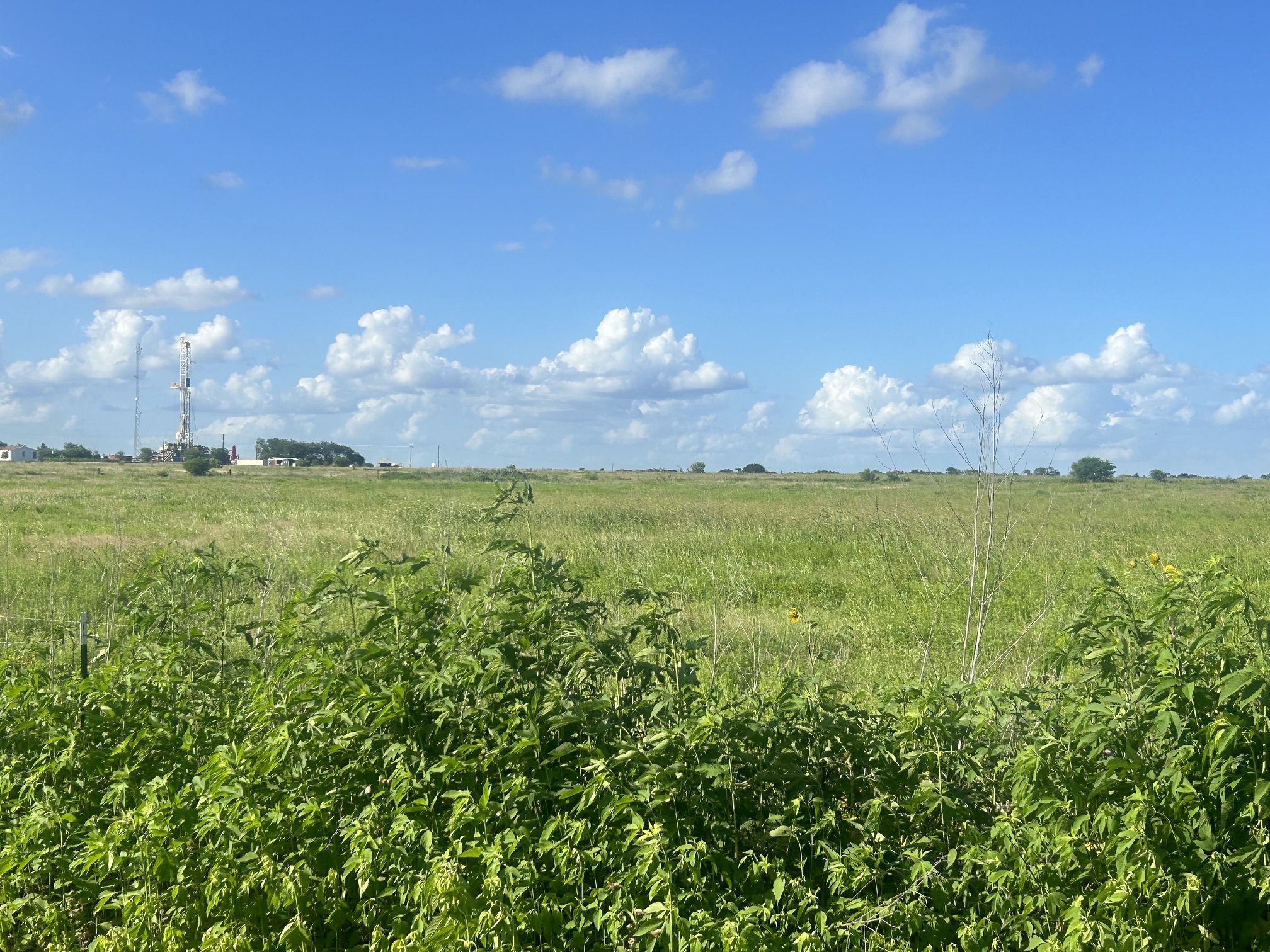 A verdant expanse offers limitless possibilities under a wide-open sky.