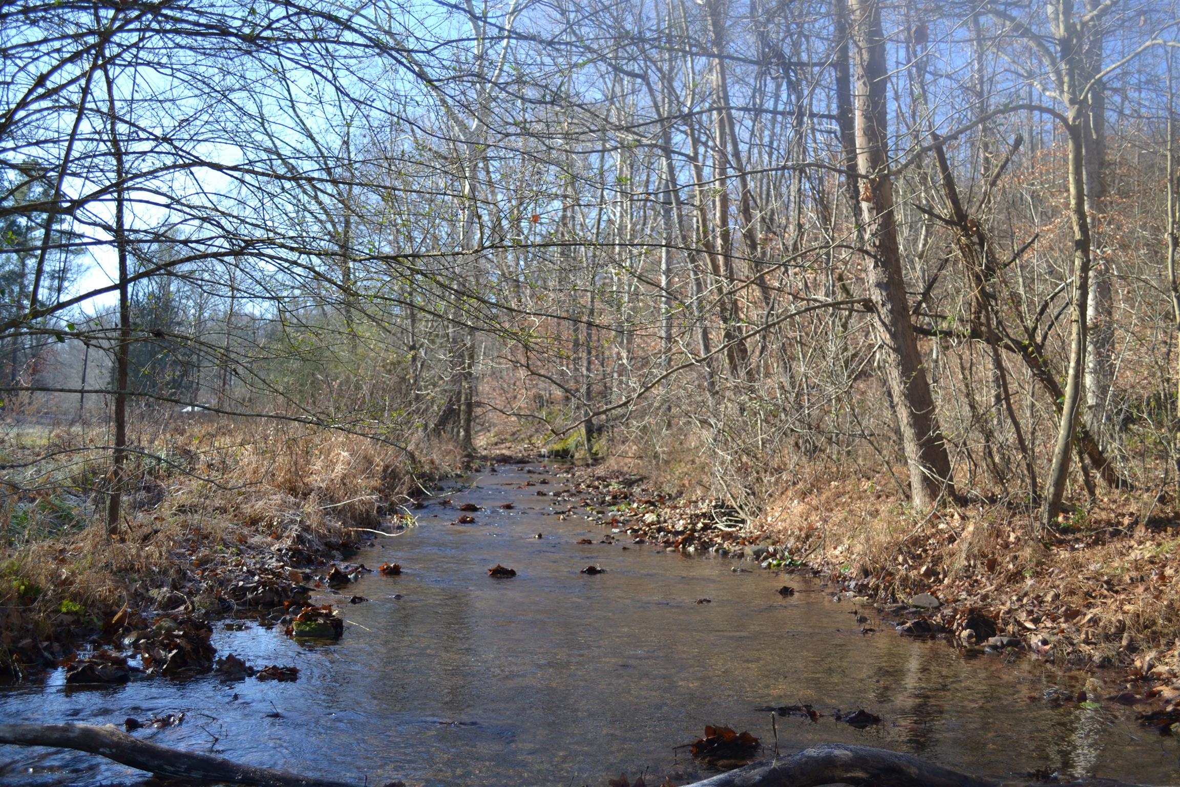 0 Pennywinkle Branch Road Waverly, TN 37185 - Photo 2 of 9 a view of outside space