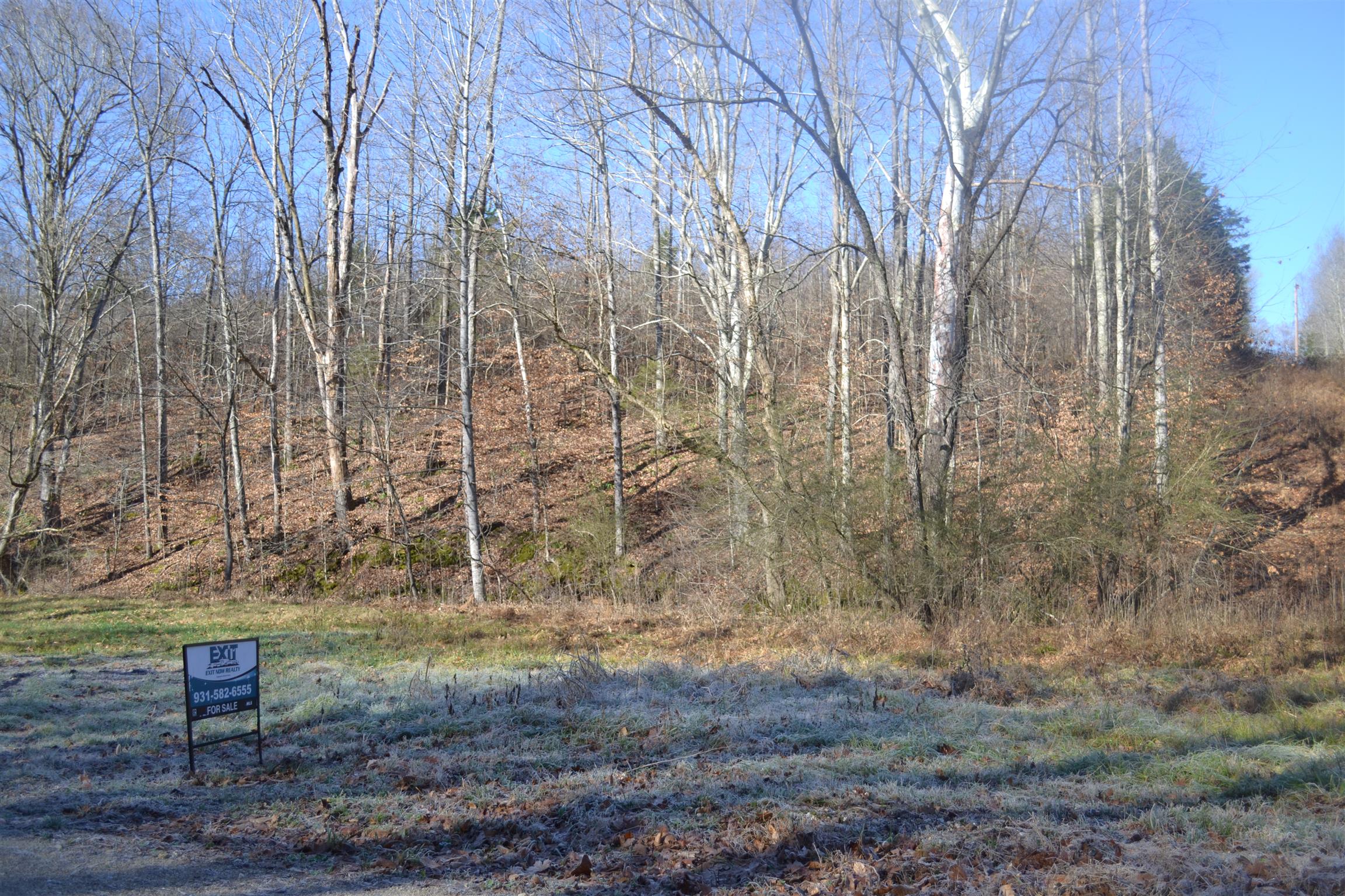 0 Pennywinkle Branch Road Waverly, TN 37185 - Photo 4 of 9 a view of fountain in middle of the forest