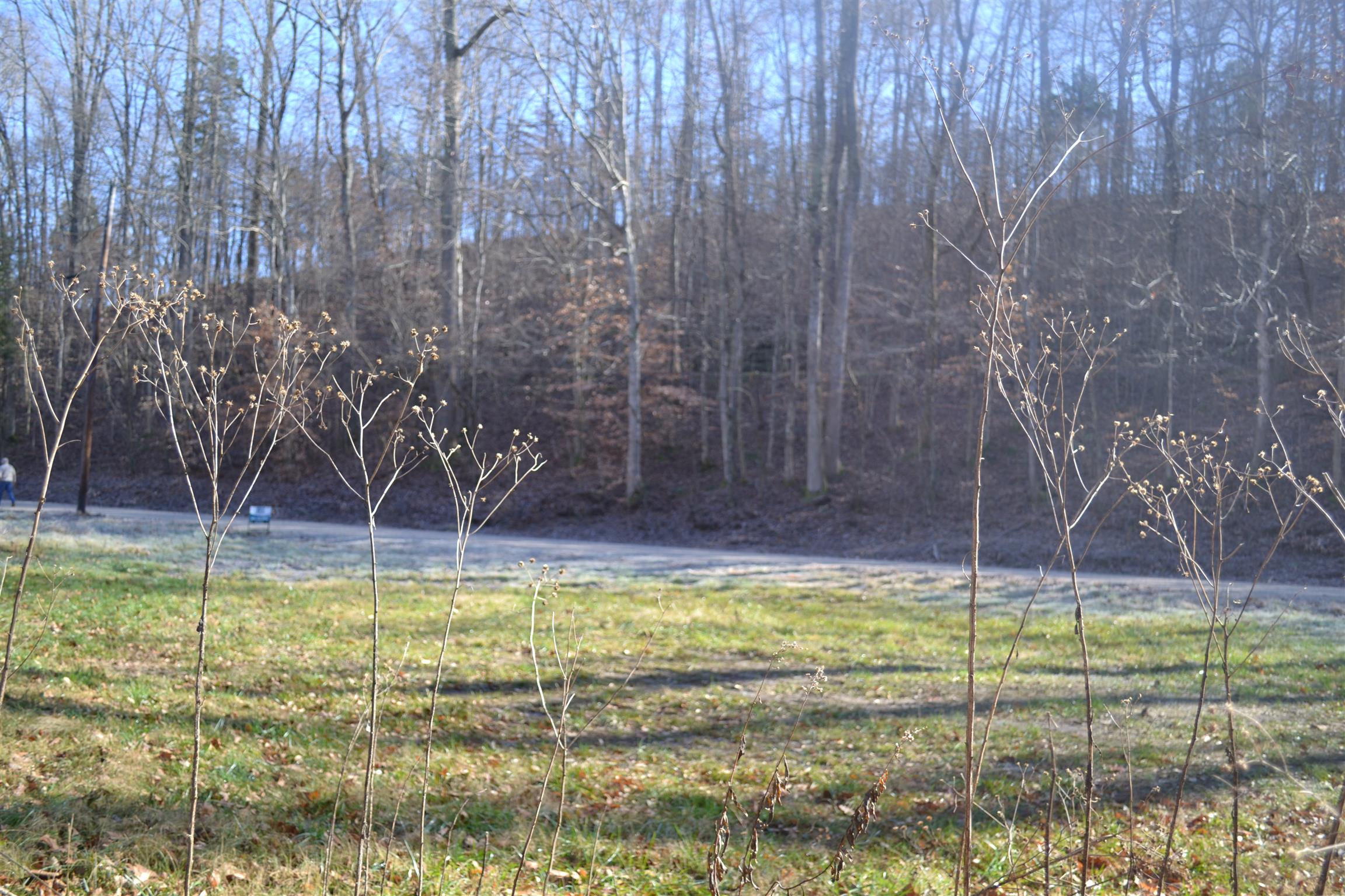0 Pennywinkle Branch Road Waverly, TN 37185 - Photo 6 of 9 a view of pool with a yard
