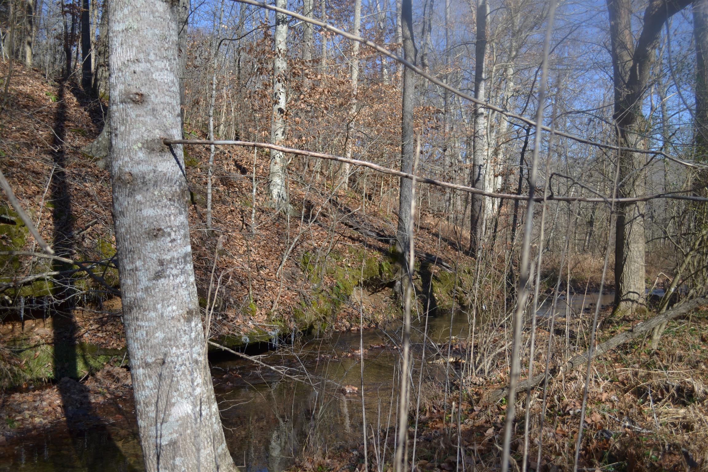 0 Pennywinkle Branch Road Waverly, TN 37185 - Photo 7 of 9 a view of a pathway of a house