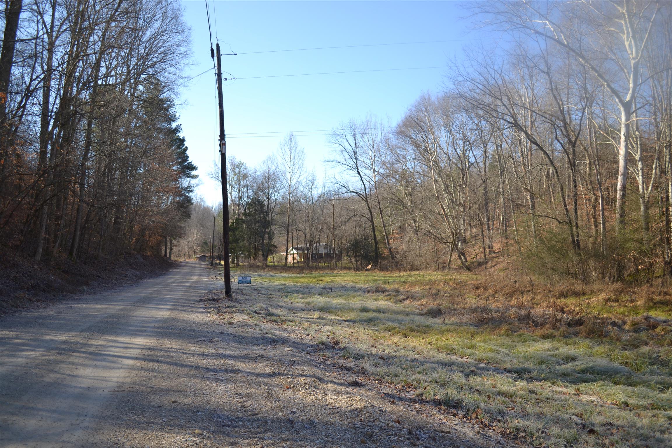 0 Pennywinkle Branch Road Waverly, TN 37185 - Photo 9 of 9 a view of a road with a dry yard
