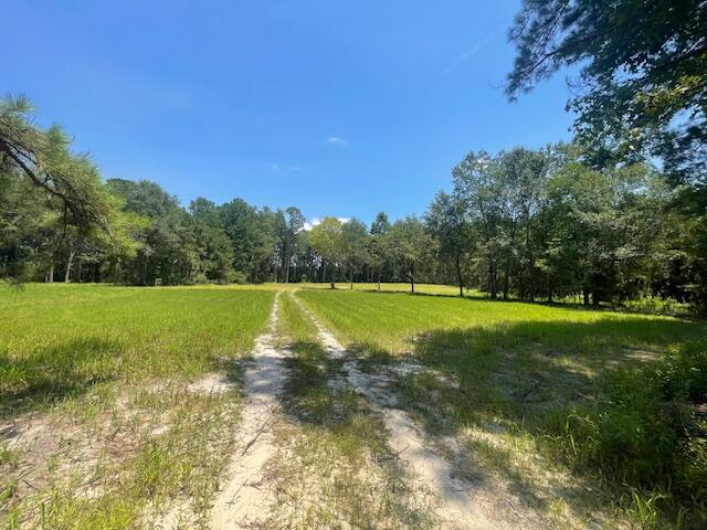 5 Grooms Road Cross, SC 29436 - Photo 3 of 9 IMG_7747