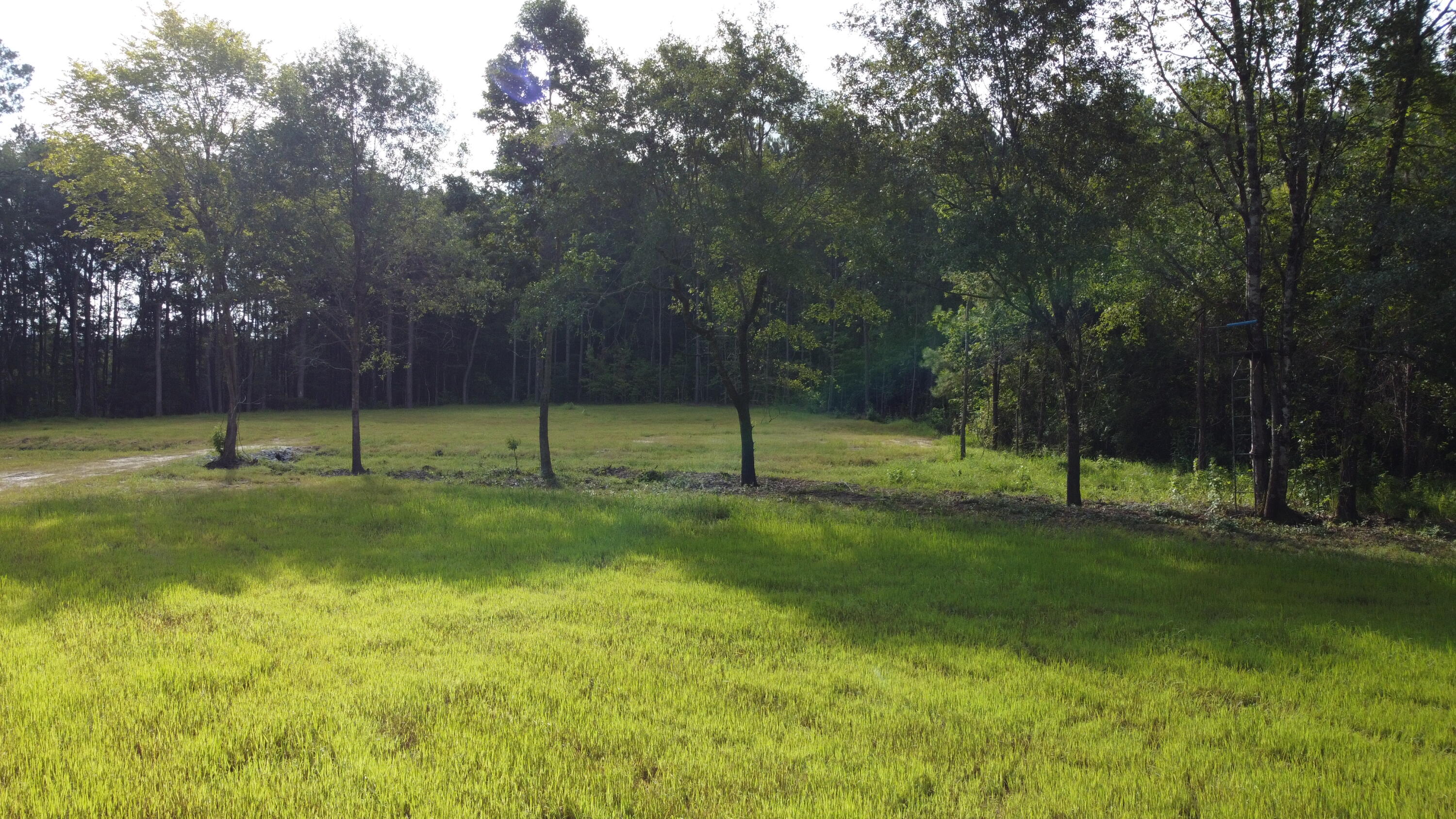 5 Grooms Road Cross, SC 29436 - Photo 5 of 9 DJI_0058