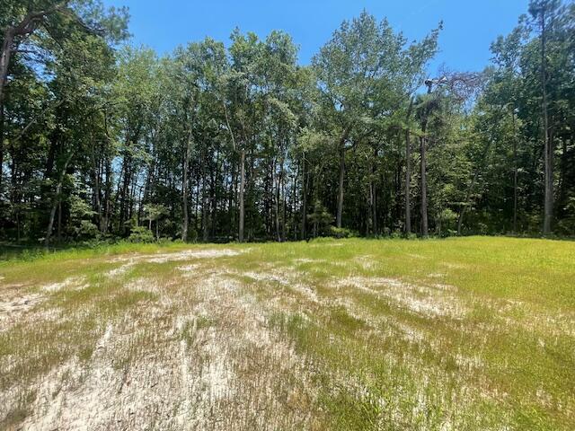 5 Grooms Road Cross, SC 29436 - Photo 6 of 9 IMG_7749