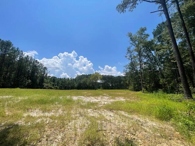 5 Grooms Road Cross, SC 29436 - Photo 7 of 9 IMG_7755