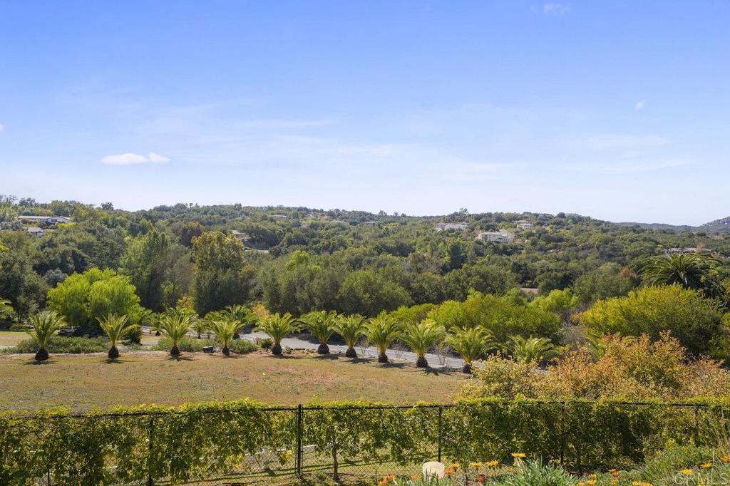 27051 Toyon Ridge Trail Valley Center, CA 92082 - Photo 52 of 61