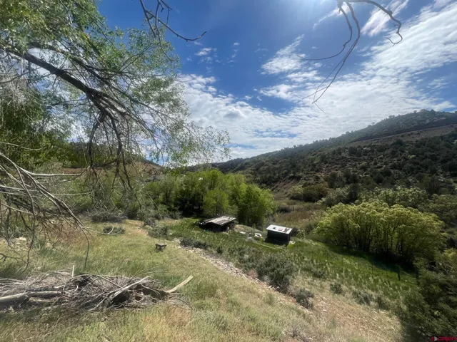a view of a city with lush green forest