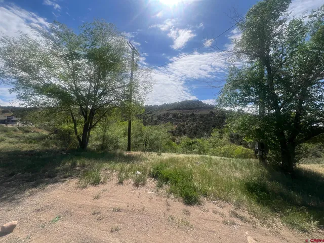 a view of a yard with mountain view