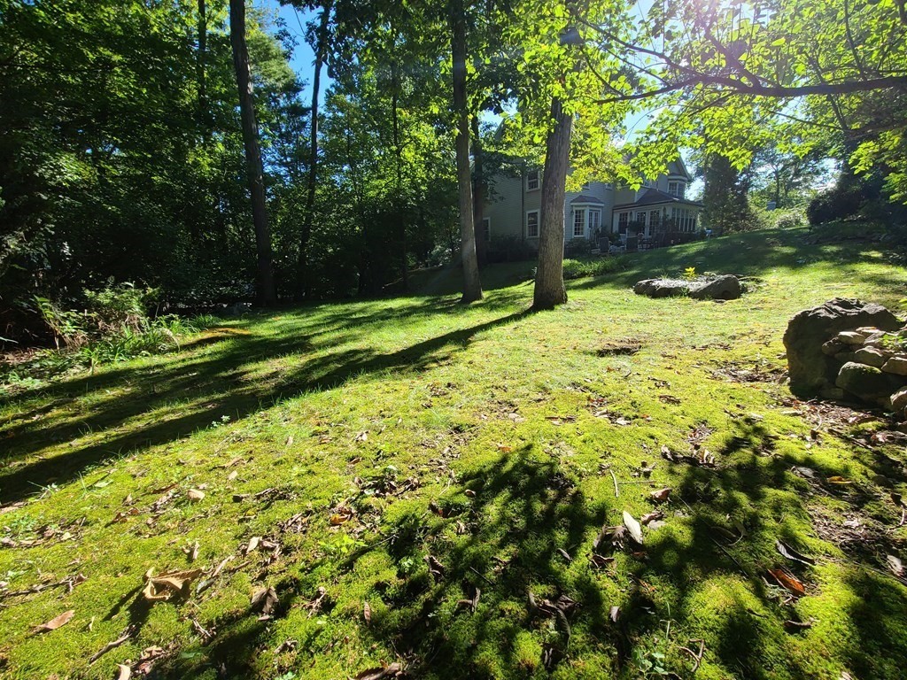45 White Oak Road Wellesley, MA 02481 - Photo 17 of 17