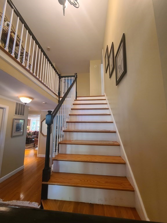 45 White Oak Road Wellesley, MA 02481 - Photo 9 of 17