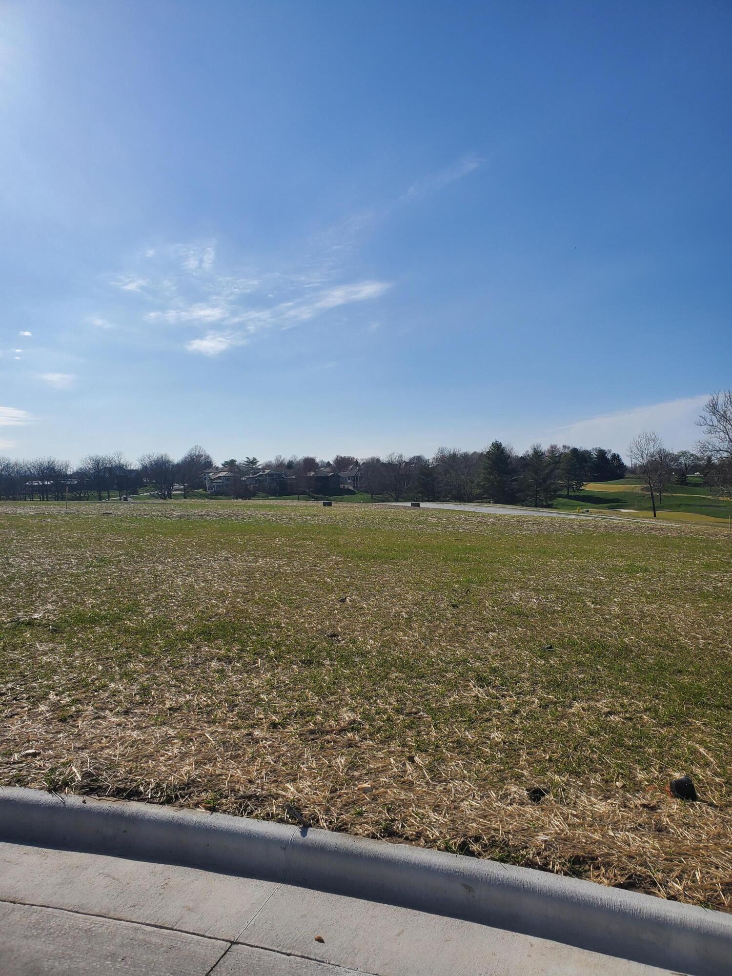 Lot 37 Vintage Pointe Springfield, MO 65809 - Photo 1 of 1 20230327_163521