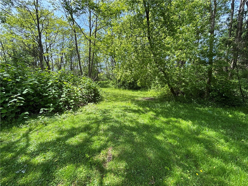 2901 Cambier Road Newark, NY 14513 - Photo 33 of 41
