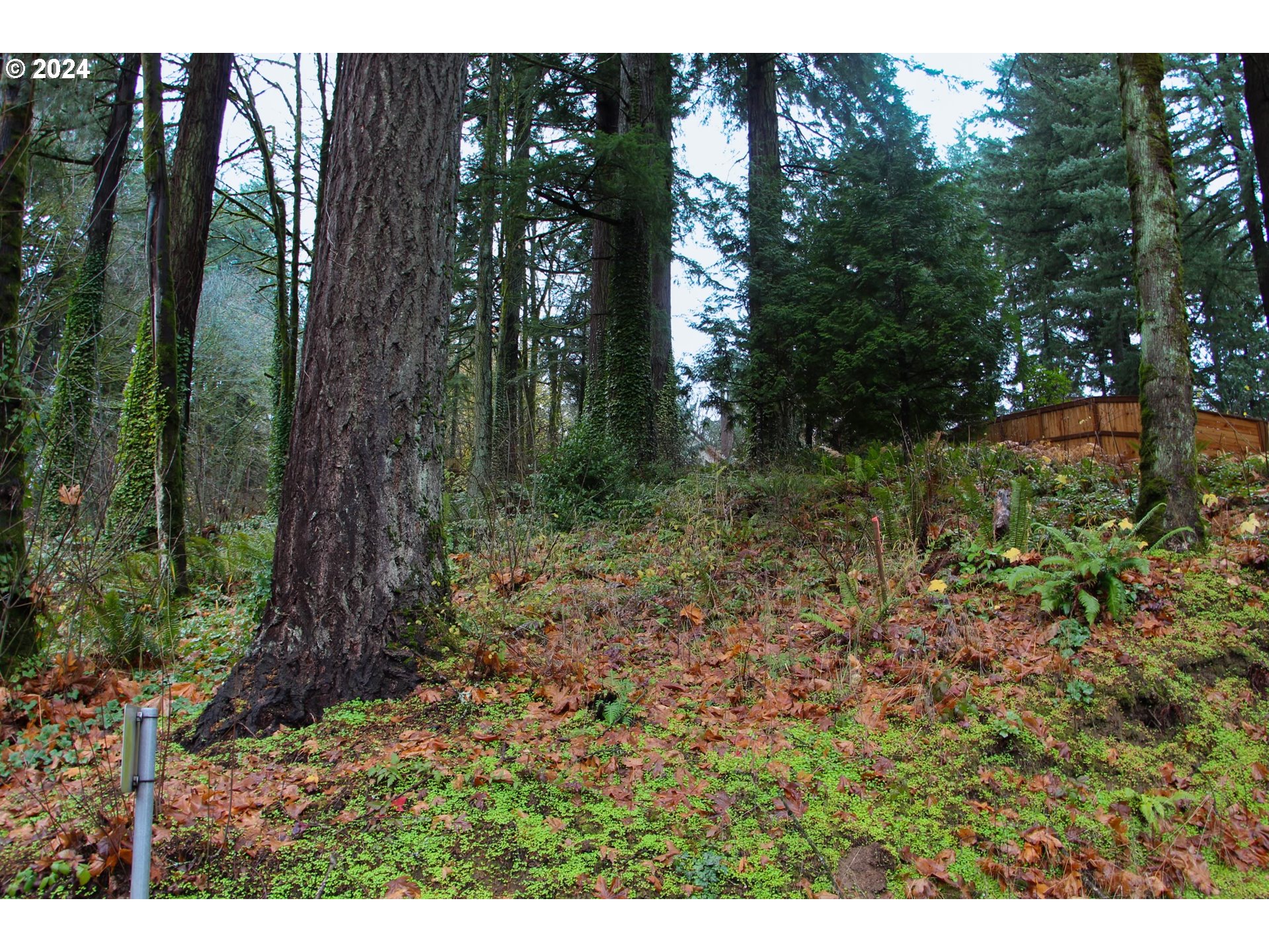 4615 West Burnside Road Portland, OR 97210 - Photo 3 of 6 a view of outdoor space and green space