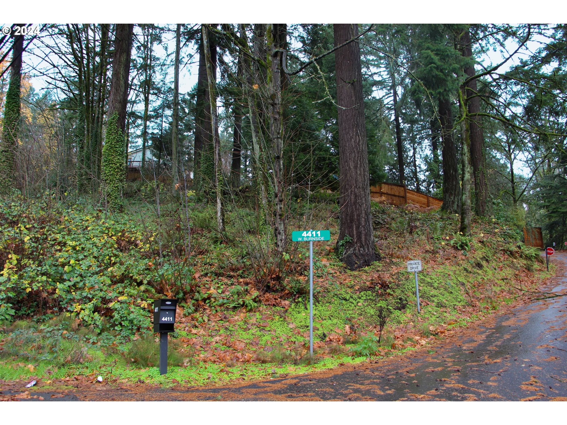 4615 West Burnside Road Portland, OR 97210 - Photo 6 of 6 a view of a sink in the forest