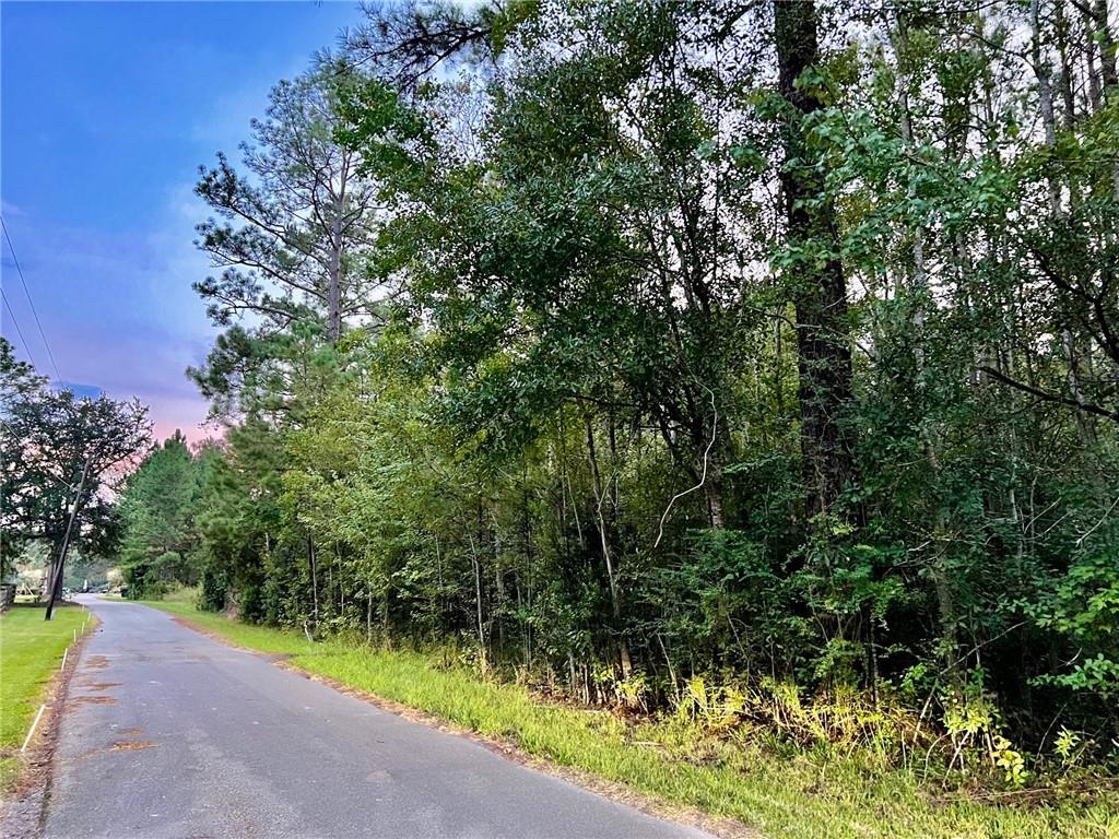 75411 Hoover Road Covington, LA 70435 - Photo 1 of 6 Gallery Image 1