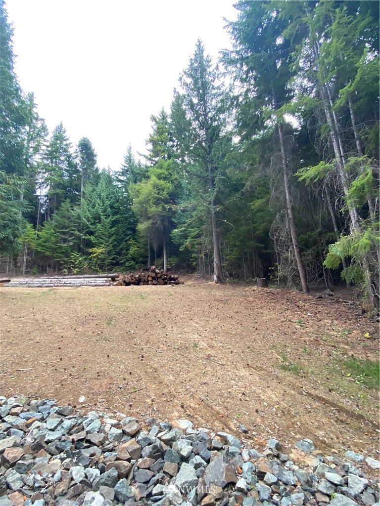 6172 Nelson Siding Road Cle Elum, WA 98922 - Photo 3 of 5