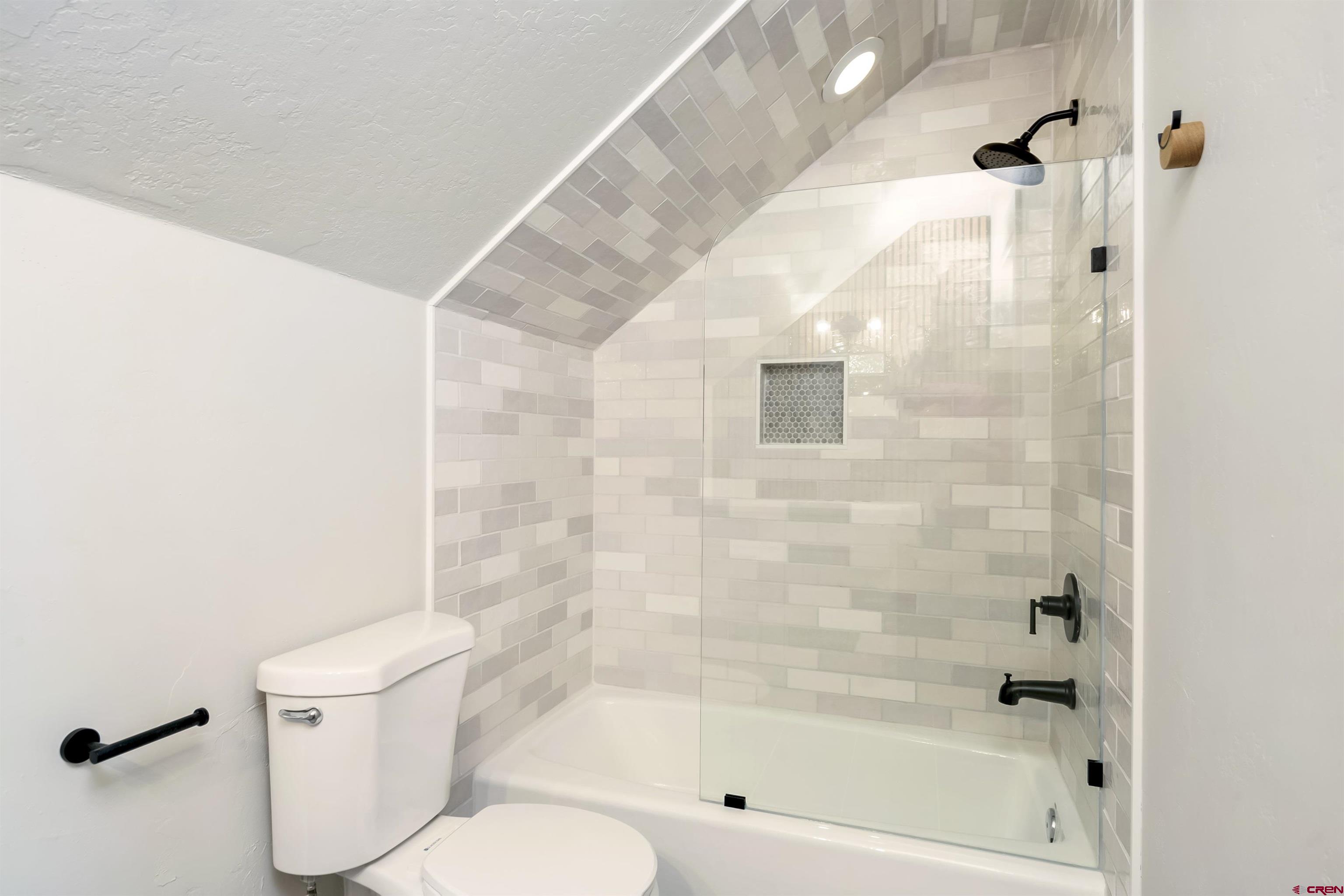 705 9th Street Crested Butte, CO 81224 - Photo 43 of 44 a bathroom with a shower and a toilet
