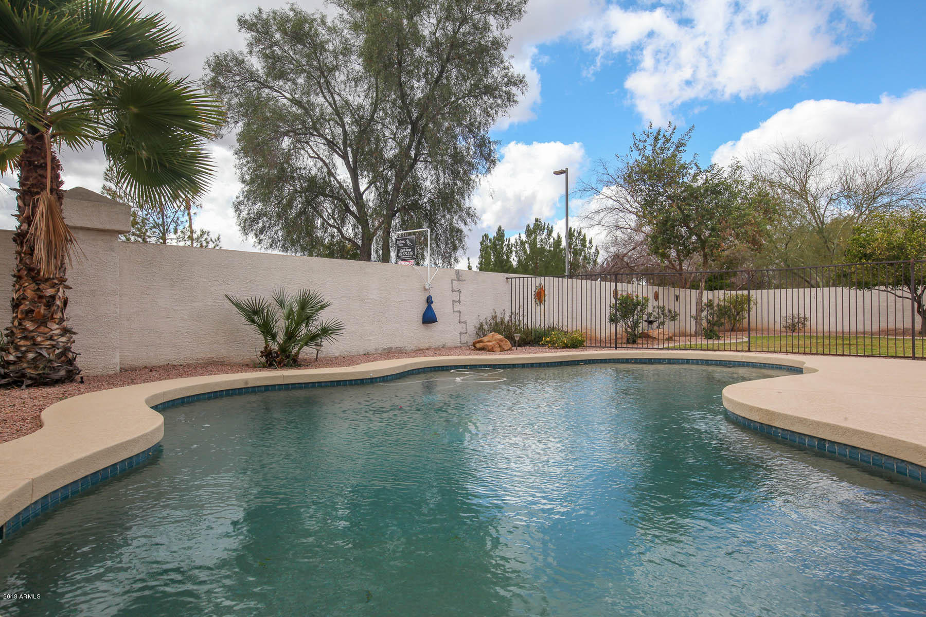 2281 Randall Road Gilbert, AZ 85296 - Photo 24 of 32 Pool2