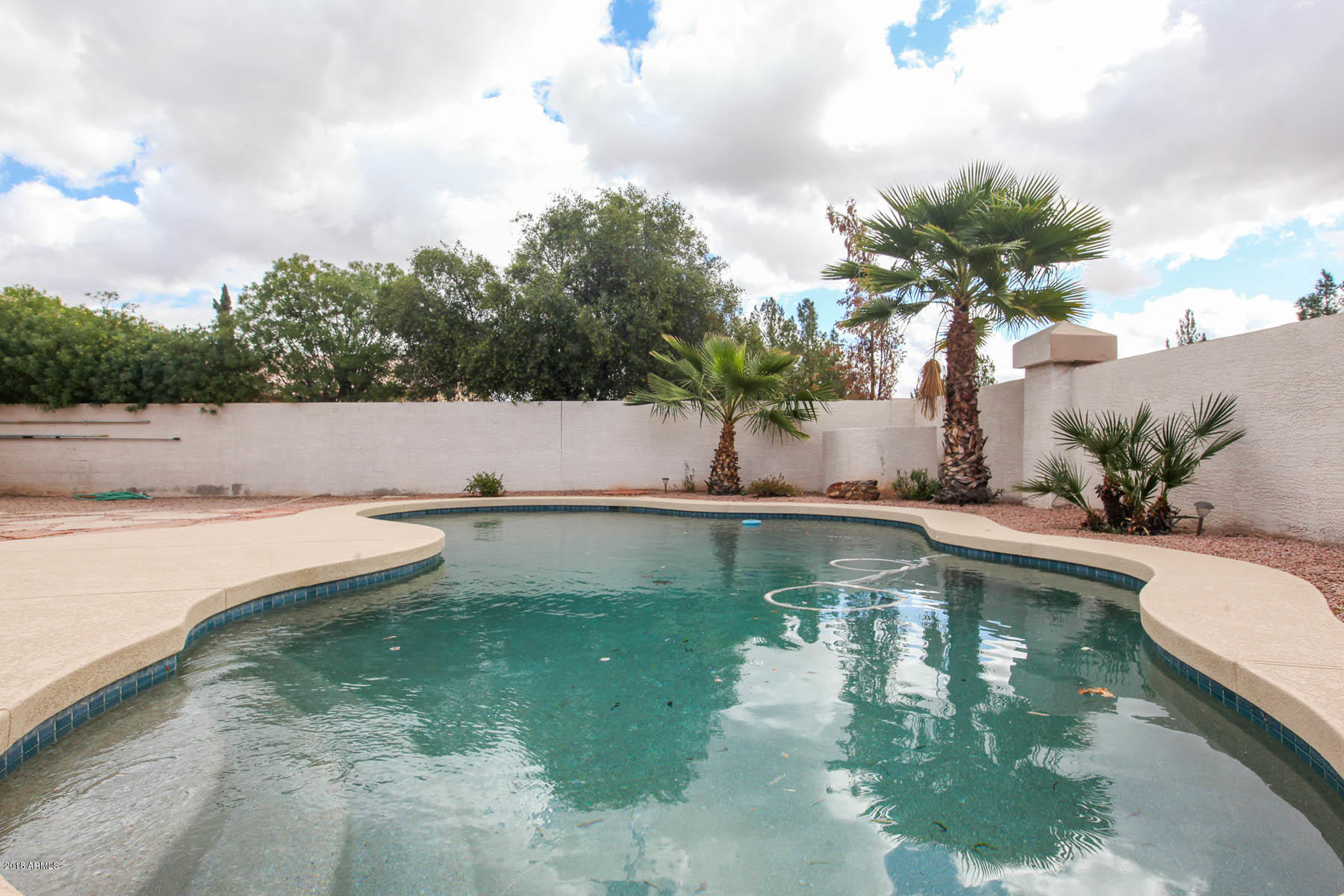 2281 Randall Road Gilbert, AZ 85296 - Photo 26 of 32 Pool4