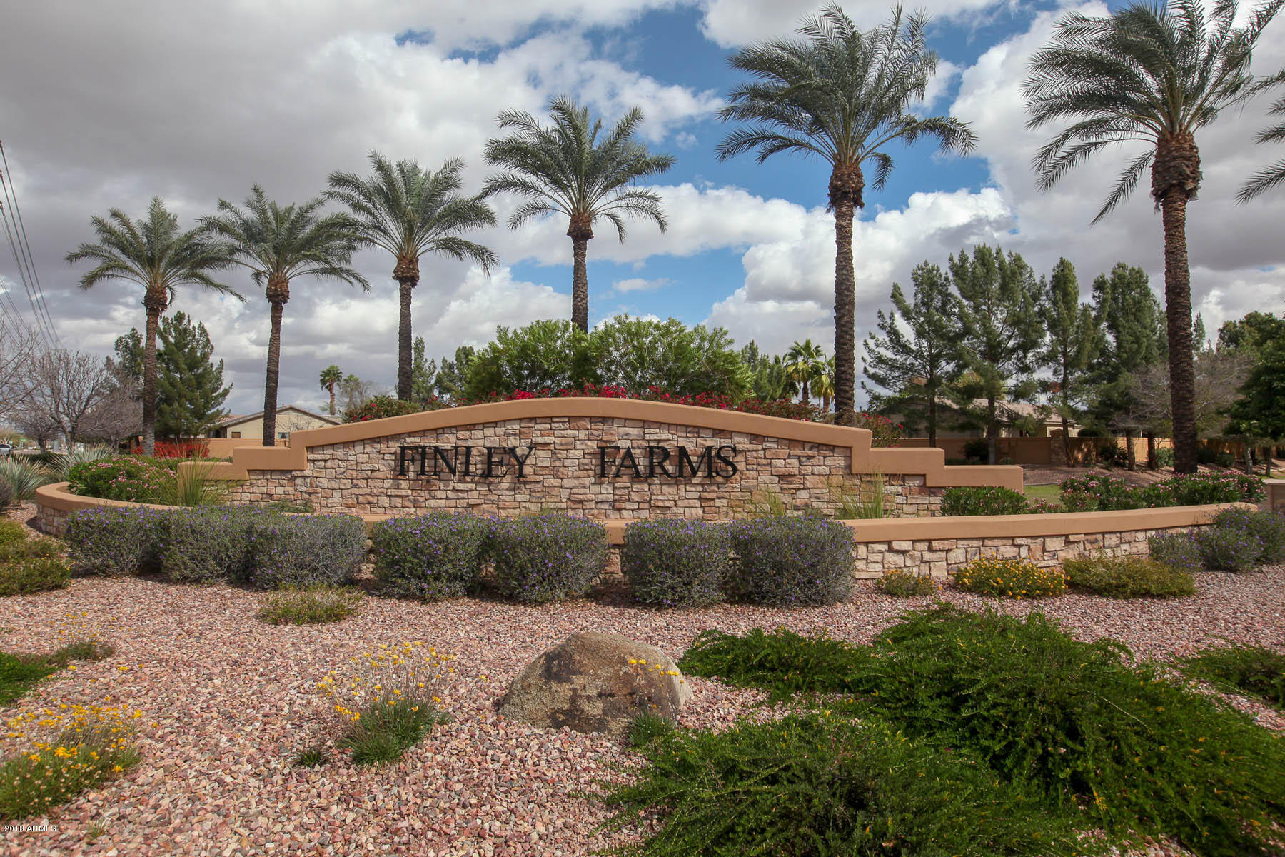 2281 Randall Road Gilbert, AZ 85296 - Photo 31 of 32 Community