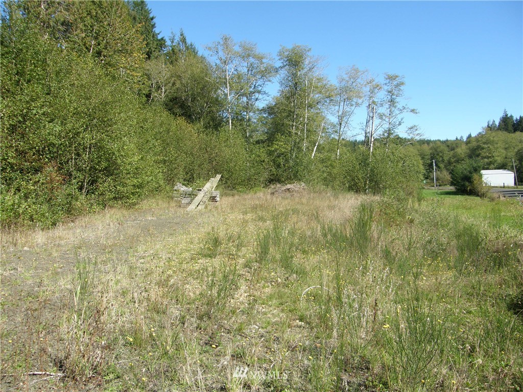 237 Newman Creek Road Elma, WA 98541 - Photo 3 of 13 Gallery Image 3