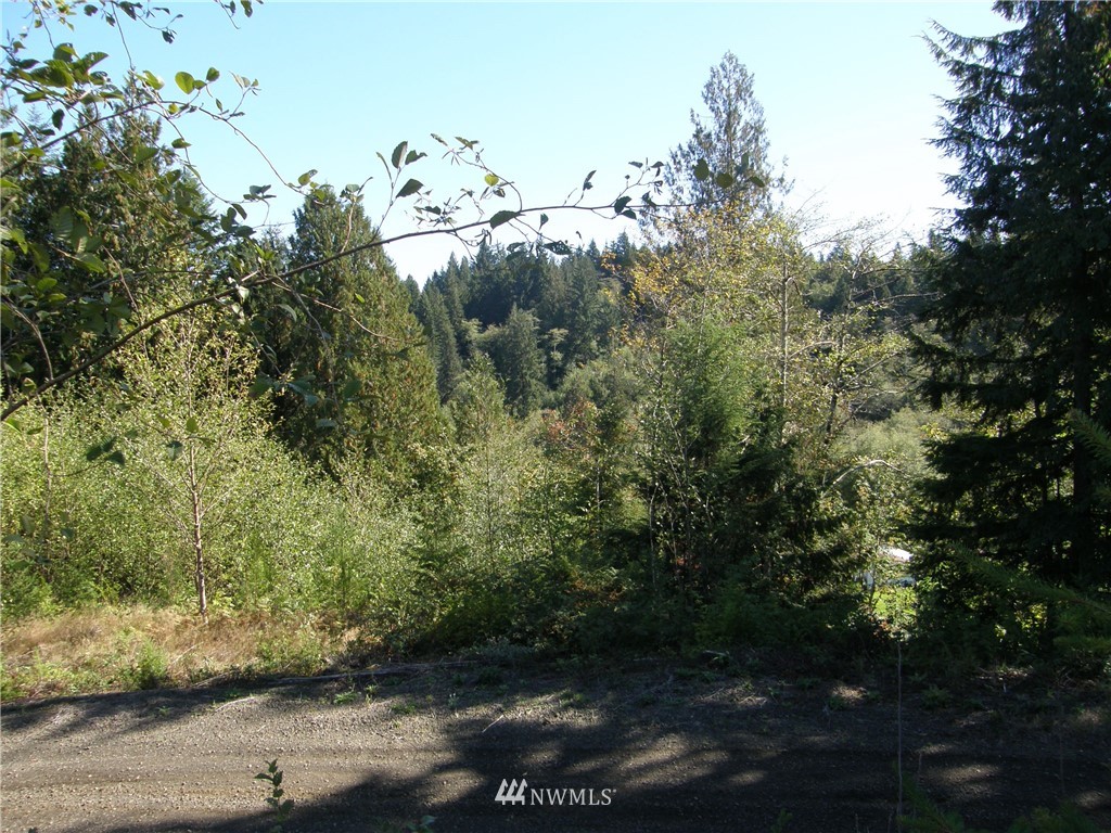 237 Newman Creek Road Elma, WA 98541 - Photo 8 of 13 Gallery Image 8