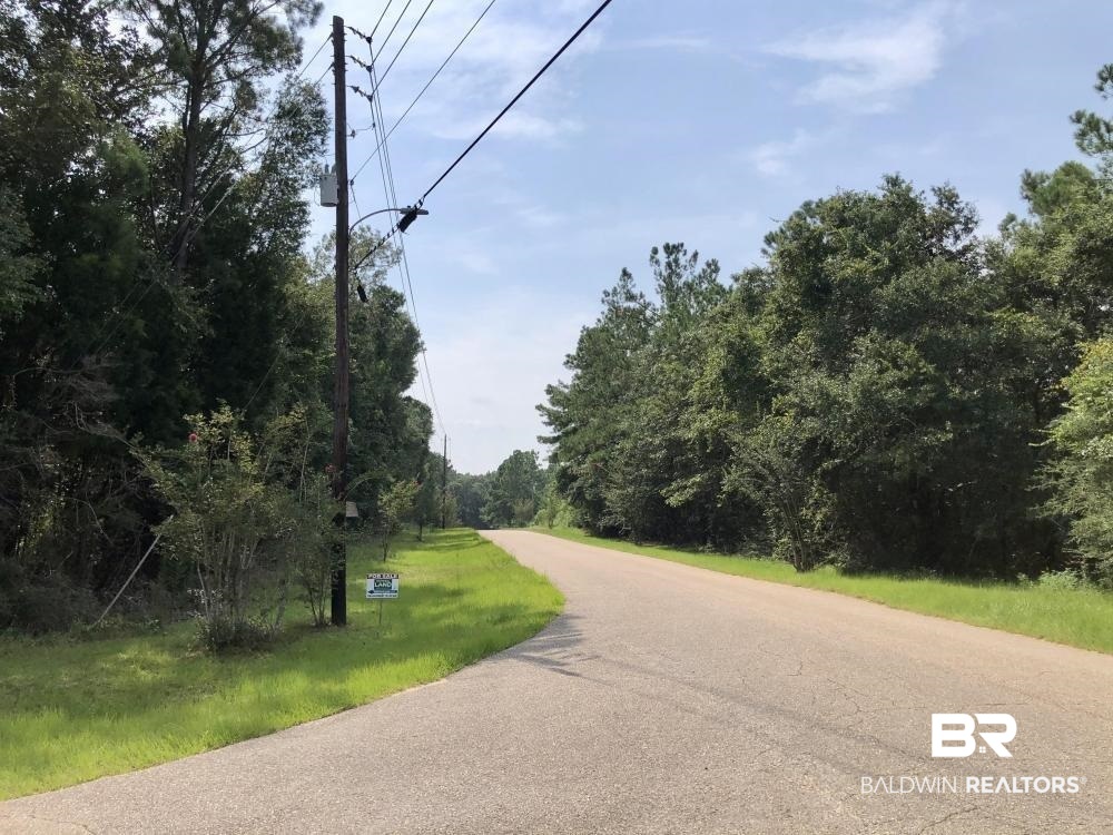 18560 Mason Street Citronelle, AL 36522 - Photo 44 of 45