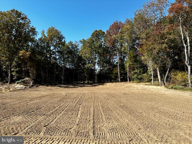 474 Coyle Road Clayton, NJ 08312 - Photo 33 of 33 Back Yard