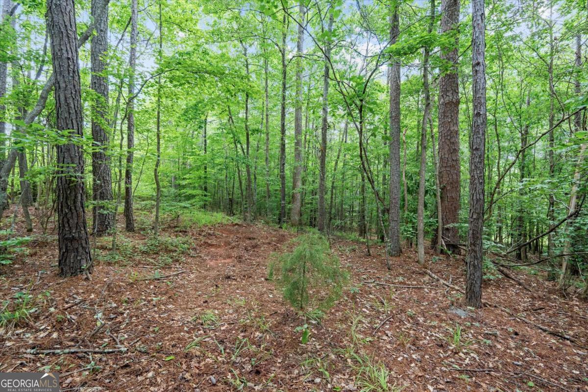 620 Old 4 Notch Road Whitesburg, GA 30185 - Photo 46 of 48