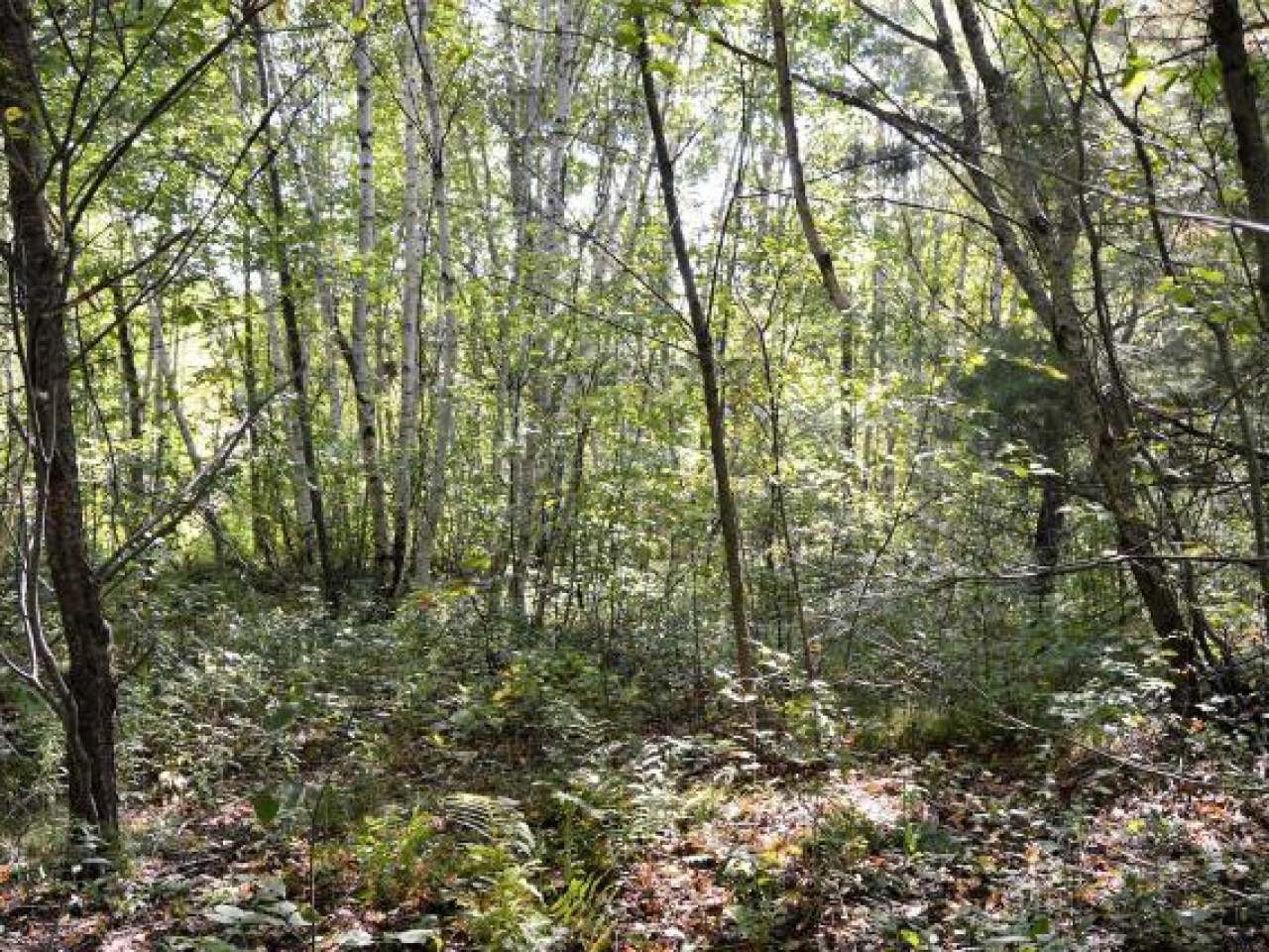 Lot 2 Lumber Lane Rhinelander, WI 54501 - Photo 1 of 3 Gallery Image 1