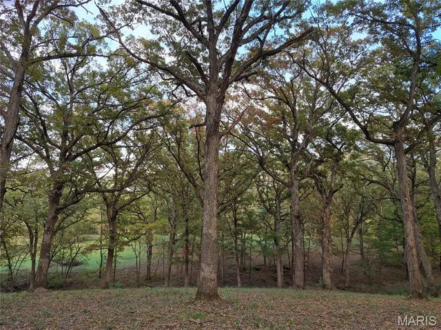 $442,000 | 0 Highway D - Tract 5 (26 /- Acres) Eolia Mo 63344, Eolia, MO 63344