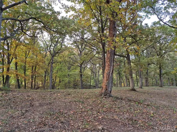 $429,000 | 0 Highway D - Tract 5 (26 /- Acres) Eolia Mo 63344, Eolia, MO 63344