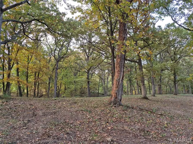 $442,000 | 0 Highway D - Tract 5 (26 /- Acres) Eolia Mo 63344, Eolia, MO 63344