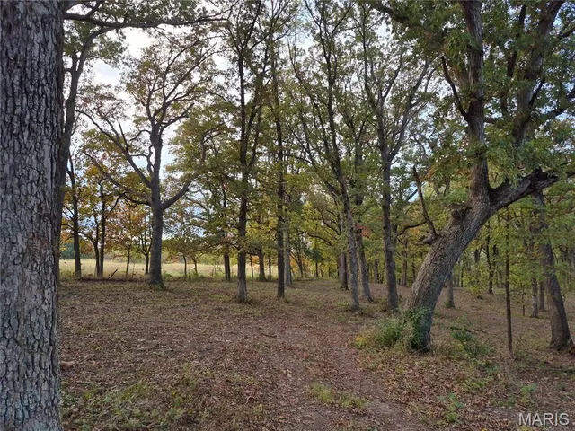 $442,000 | 0 Highway D - Tract 5 (26 /- Acres) Eolia Mo 63344, Eolia, MO 63344