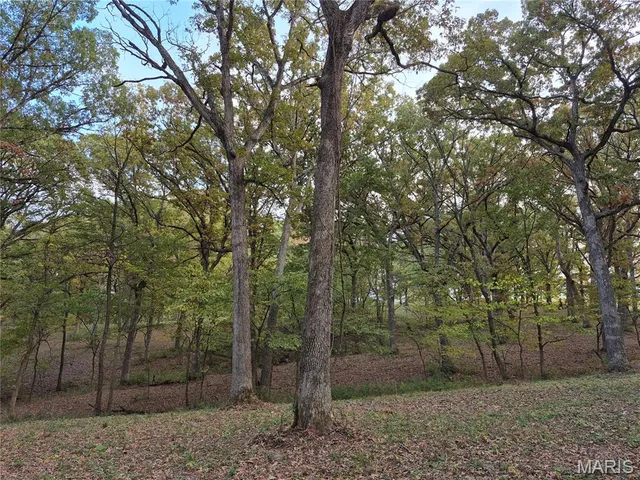 $442,000 | 0 Highway D - Tract 5 (26 /- Acres) Eolia Mo 63344, Eolia, MO 63344