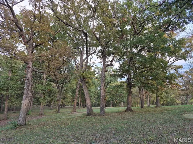 $442,000 | 0 Highway D - Tract 5 (26 /- Acres) Eolia Mo 63344, Eolia, MO 63344