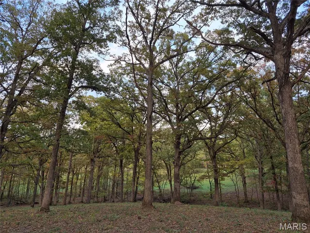 $442,000 | 0 Highway D - Tract 5 (26 /- Acres) Eolia Mo 63344, Eolia, MO 63344