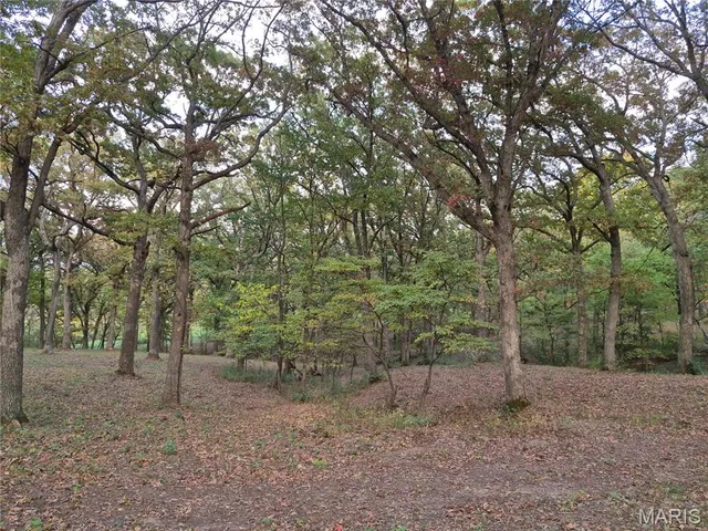 $442,000 | 0 Highway D - Tract 5 (26 /- Acres) Eolia Mo 63344, Eolia, MO 63344