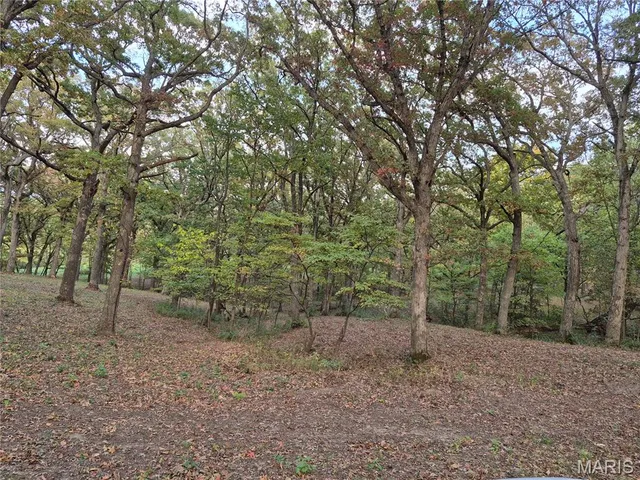 $442,000 | 0 Highway D - Tract 5 (26 /- Acres) Eolia Mo 63344, Eolia, MO 63344