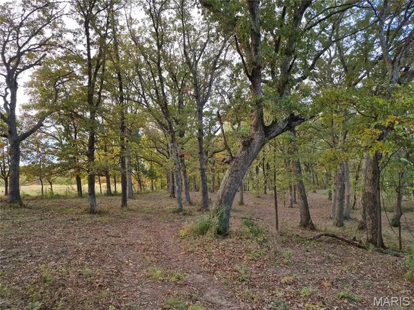 $429,000 | 0 Highway D - Tract 5 (26 /- Acres) Eolia Mo 63344, Eolia, MO 63344